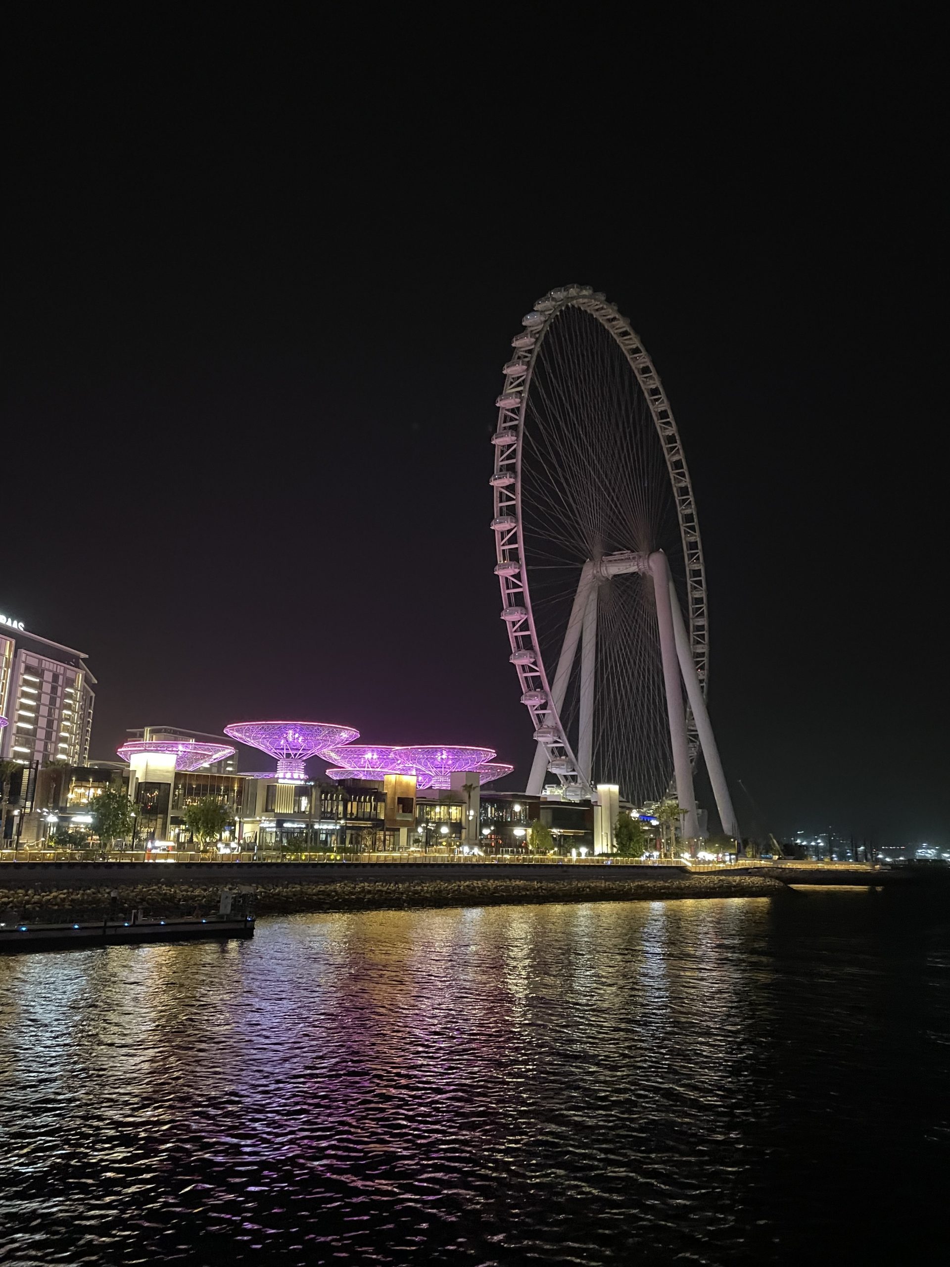 Aray Toleugazina,Dubai