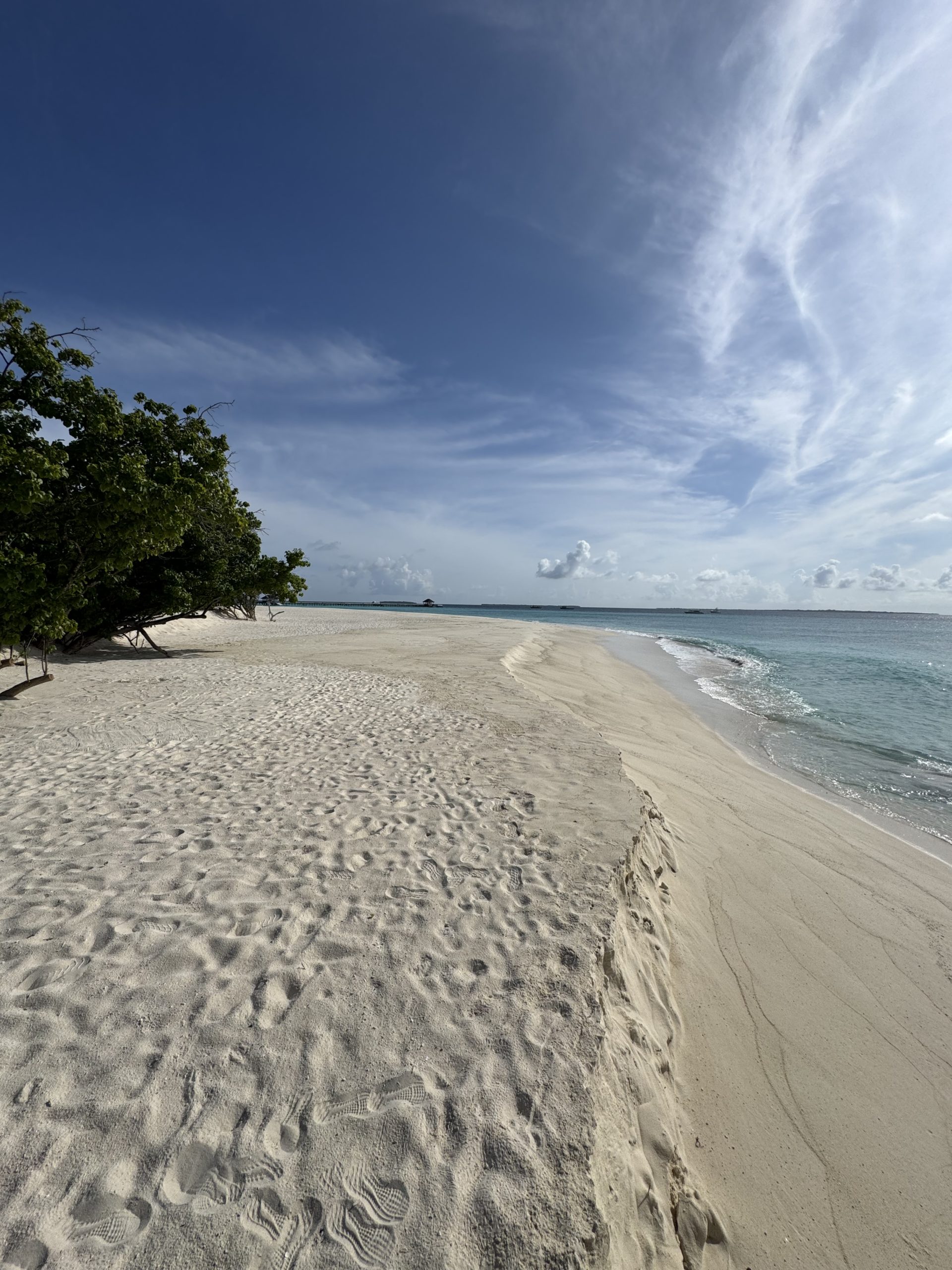 Yannick Assing, Maldives