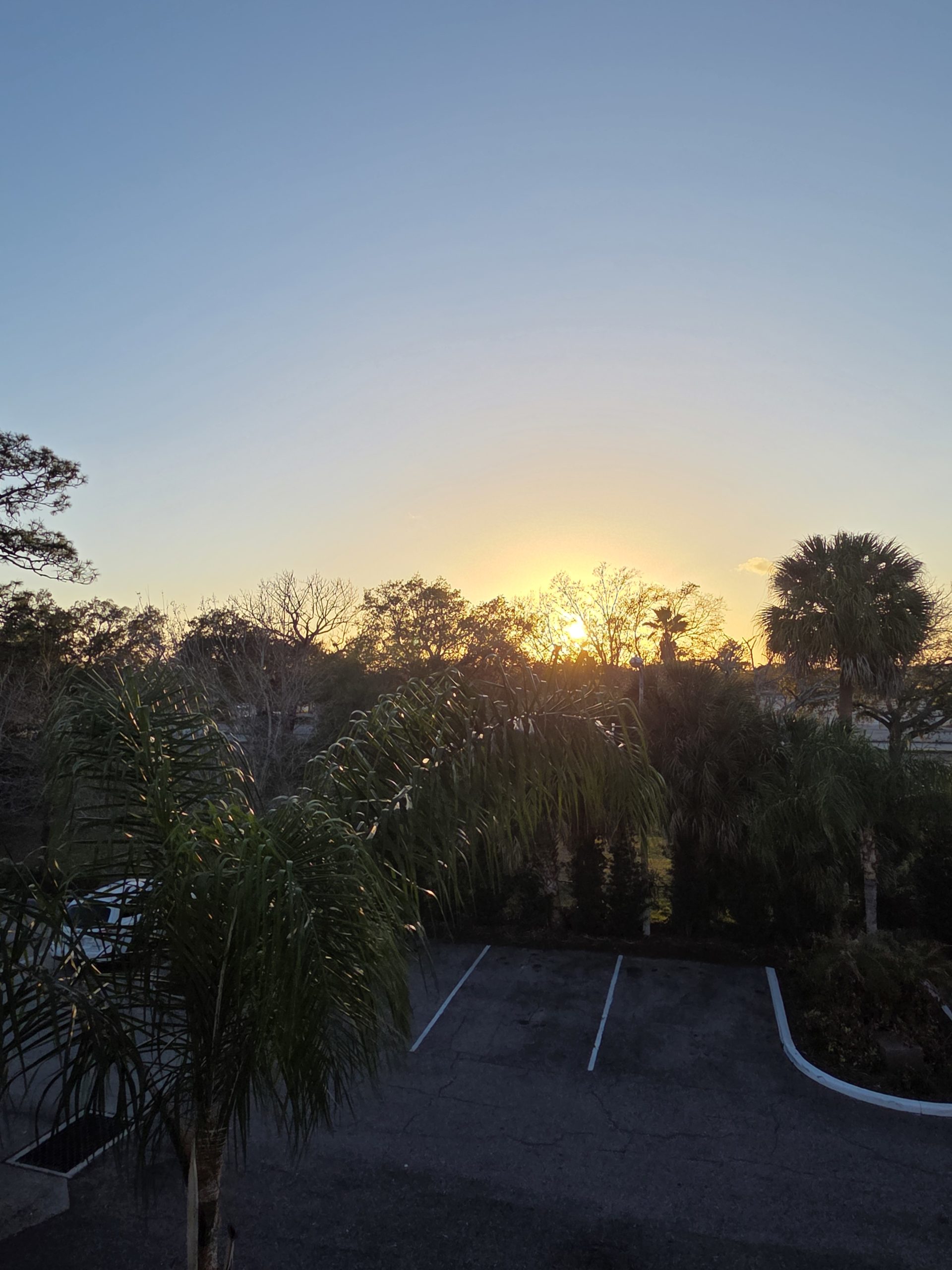 Andrée-Eve P, Orlando