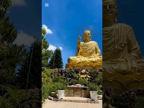 Saltanat I, Vietnam