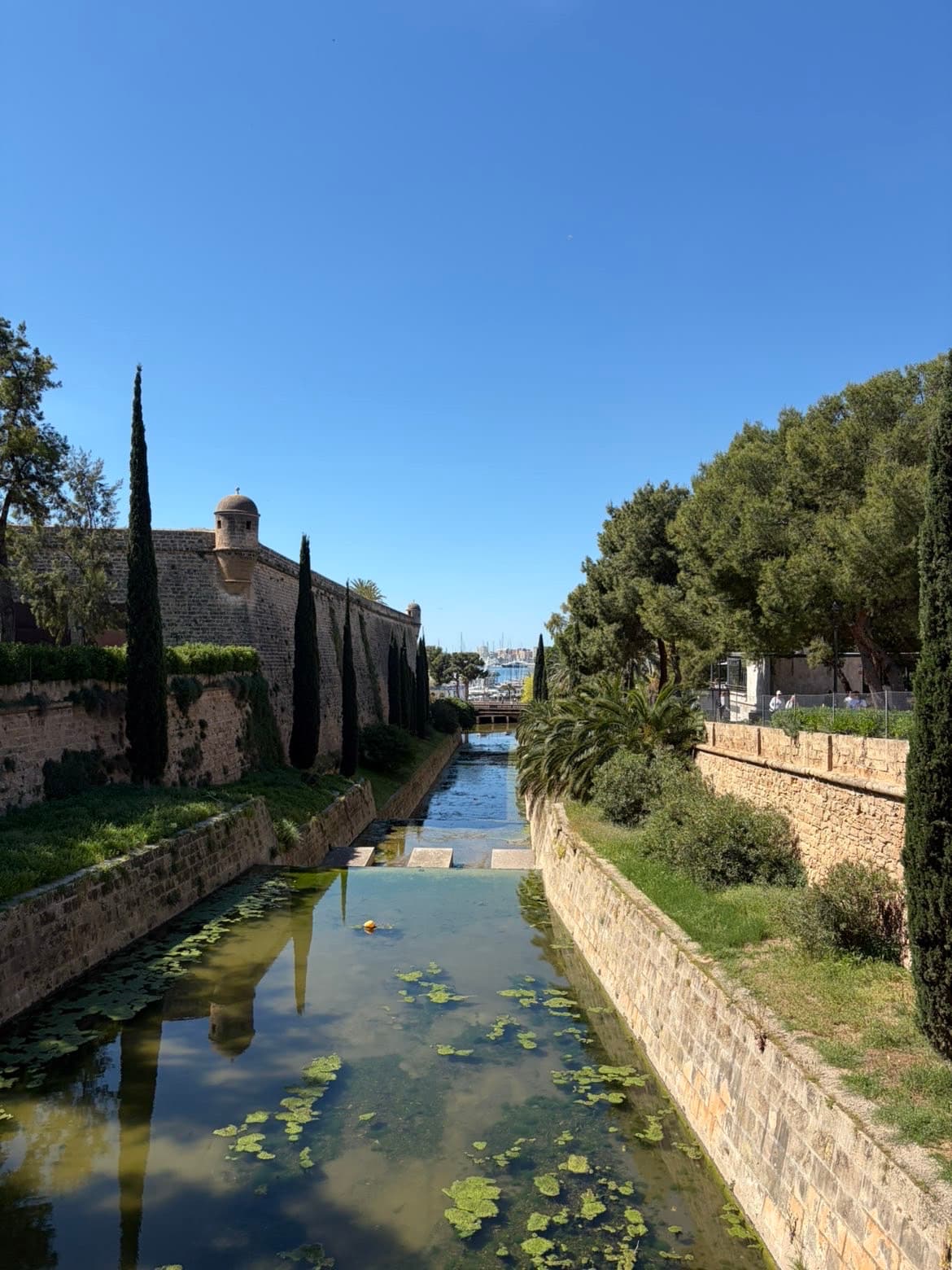 Audrey M, Majorca