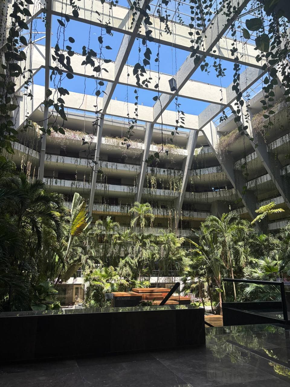 Vitiello M, Cancun