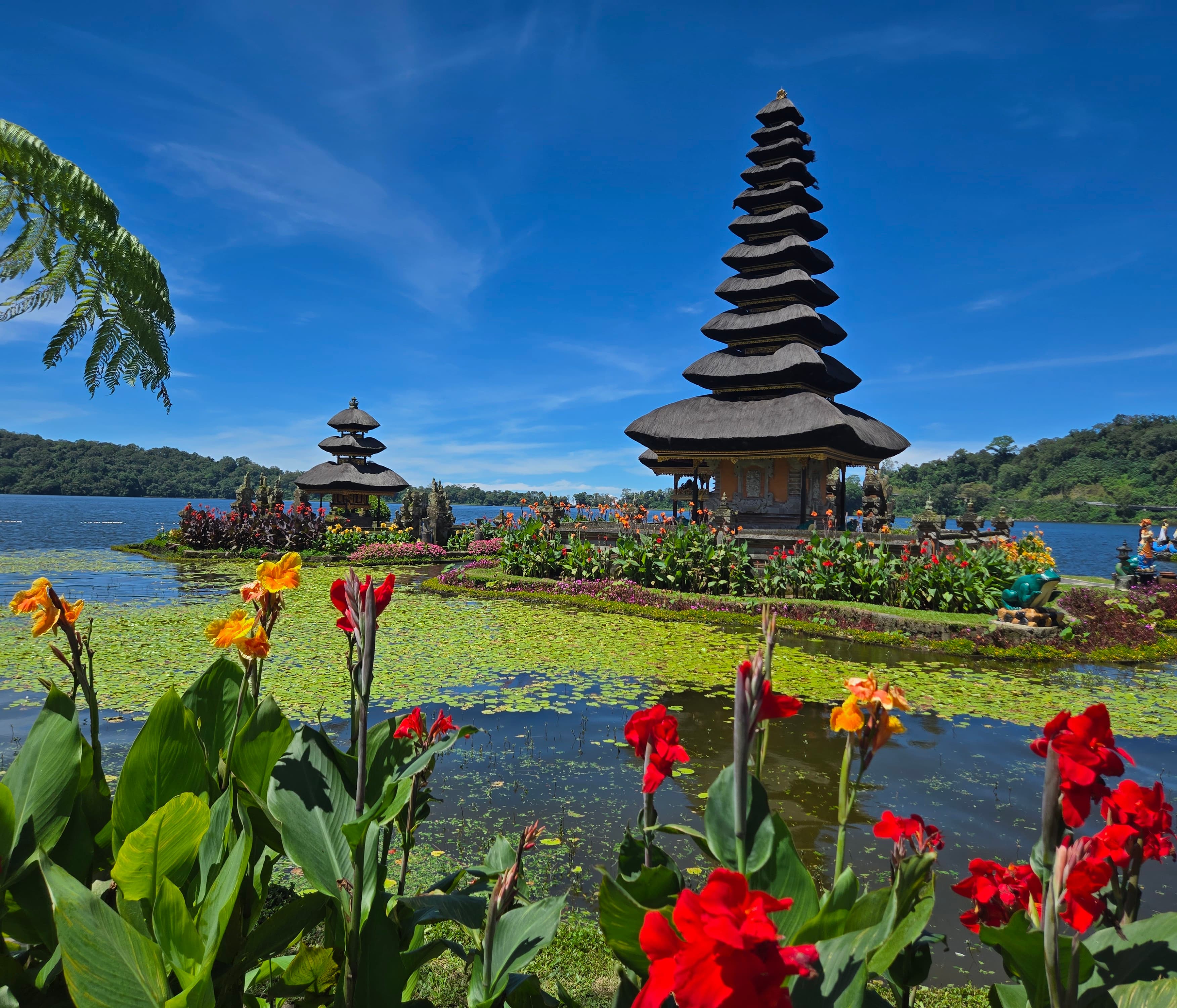 DARNELL B, Bali